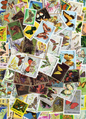 Fototapeta na wymiar Butterfly Stamps