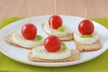 Toasts with cheese mozzarella and tomatos