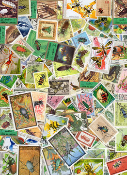 Insect Postage Stamps