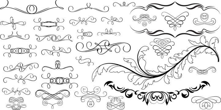 Swirl Design Spiral Floral Elements