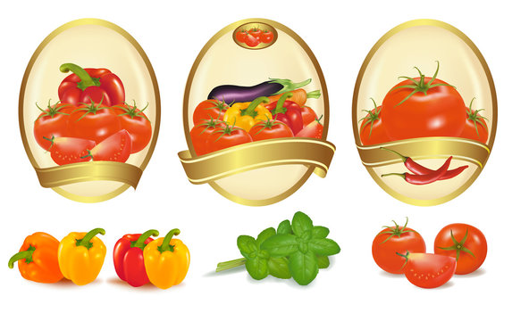 Three gold labels with different sorts of vegetables. Vector.