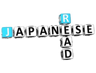 3D Read Japanese Crossword