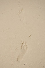 footprints on the beach sand