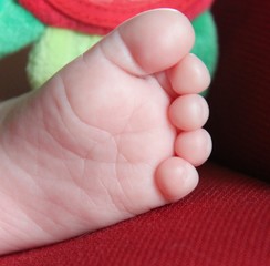 Baby toes