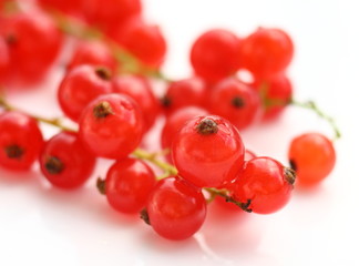 Isolated fruits - Red Currant