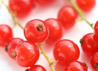 Isolated fruits - Red Currant