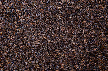 birdseed background