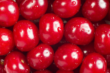 A lot of red cherries