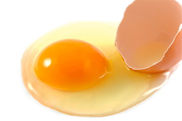 broken egg
