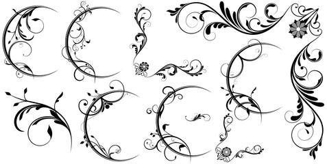 Swirl Design Flourish Elements Collection
