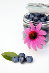 vasetto con mirtilli e fiore