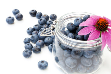 mirtilli giganti in vaso