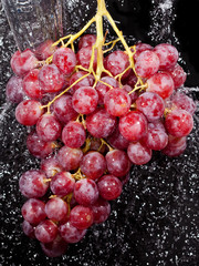 Grapes cluster in water splashes