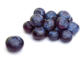 Bilberry berries, focus on back berries
