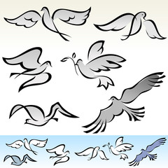 AMAZING   FLYING  BIRDS VECTOR