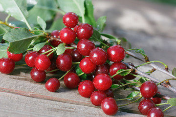 Cherry