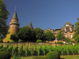 Château de Castel Novel ; Corrèze ; Périgord ; Limousin
