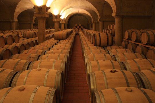 Weinkeller Barrique Rotwein Holzf&auml;sser Piemont, Italien
