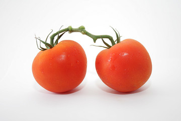 Red Tomatoes.