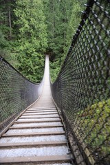 Obraz premium lynn canyon bridge