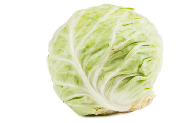 Obraz premium Cabbage