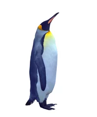 Deurstickers Pinguïn Geïsoleerde keizerspinguïn over white