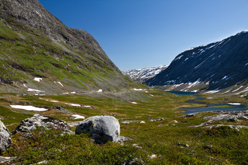 Fototapeta na wymiar Videdalen in Norwegen