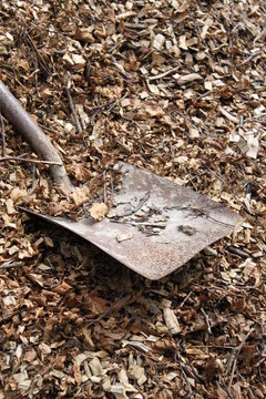 Shovel in bark