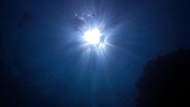 Underwater scene with sunrays, Red sea