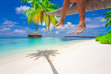 Holiday Paradise