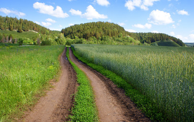 Fototapeta premium Country road to mountains and to the village