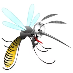 Door stickers Draw Zanzara Tigre Cartoon-Funny Mosquito-Moustique-Vector