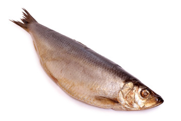 Herring on white