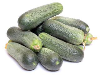 Cucumber