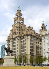 Obraz premium The Royal Liver Building, Liverpool