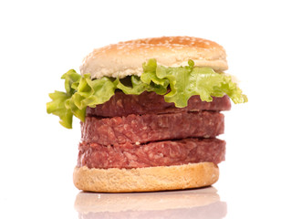 Hamburger 5