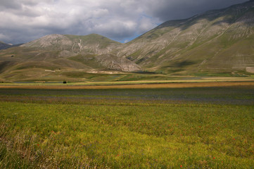 Umbria