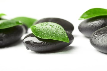 Fototapeta na wymiar black stones and green leaves