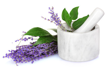 Beautiful lavender in a mortar isolated on white