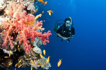 Fototapete male scuba diver with red coral © JonMilnes