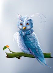 cartoon owl