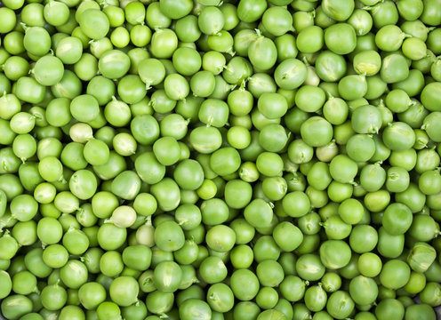 fresh and green peas
