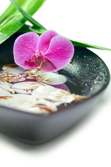 Obraz na płótnie Canvas Spa concept: purple orchid , bamboo and shells