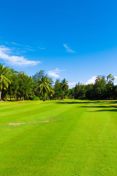 Grass Golf Area