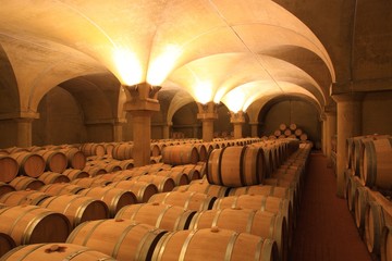 Weinkeller Barrique Rotwein Holzf&auml;sser Piemont, Italien