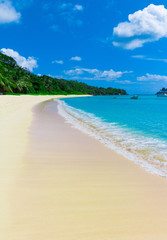 Dream Summertime Tranquility