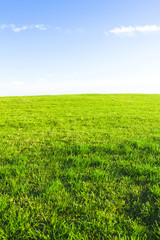 Obraz premium Golf Club Landscape