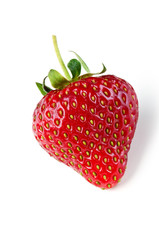 fresh strawberry