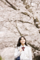 桜の下で笑っている女子中学生