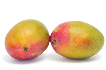 mango fruits